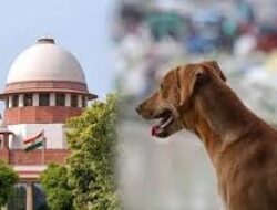 सुप्रीम कोर्ट ने आवारा कुत्तों और गेटेड कम्युनिटी मामलों पर दी अहम टिप्पणी