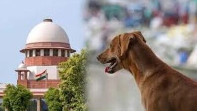 सुप्रीम कोर्ट ने आवारा कुत्तों और गेटेड कम्युनिटी मामलों पर दी अहम टिप्पणी