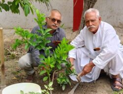 एसबीएस हायर सेकेंडरी स्कूल में विश्व पर्यावरण दिवस पर हुआ वृक्षारोपण कार्यक्रम