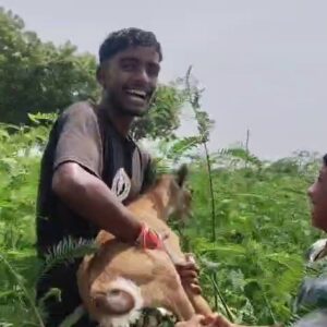 Hathras; कुएं में गिरे नीलगाय के बच्चे को गौरक्षकों ने सुरक्षित निकाला