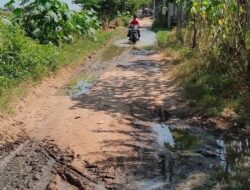 Hathras;269 किलोमीटर ग्रामीण सड़कों की होगी मरम्मत